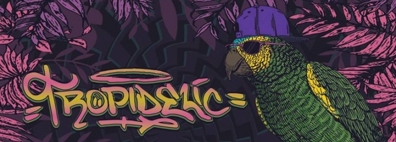 An interview with Tropidelic