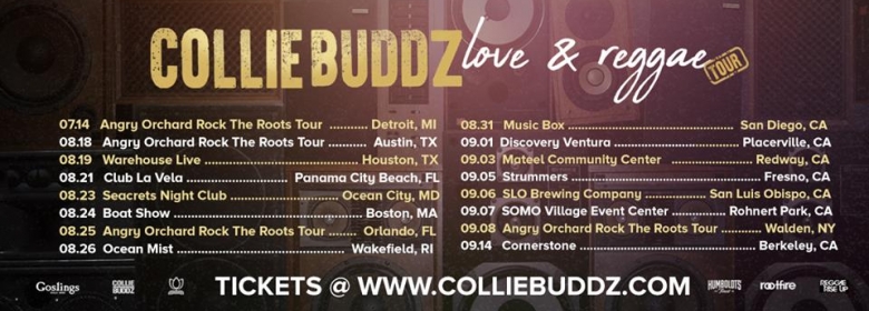 Collie Buddz releases “Love & Reggae” single