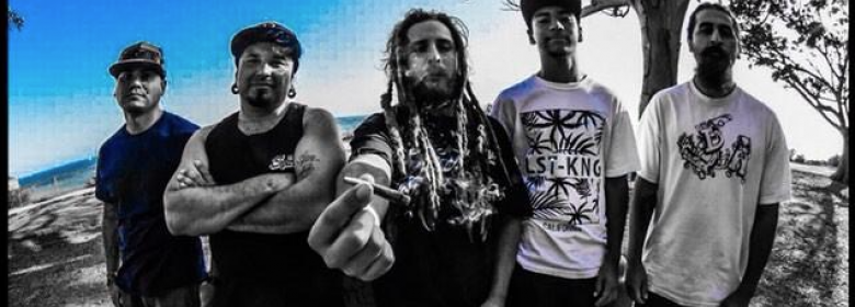 Spliff Vision: New Year, new vision