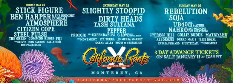 Cali Roots X final artists announced