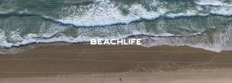 BeachLife Fest brings legends to Redondo Beach