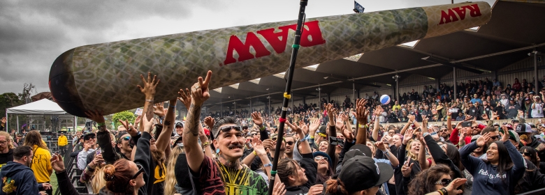 The Cali Roots 9 experience