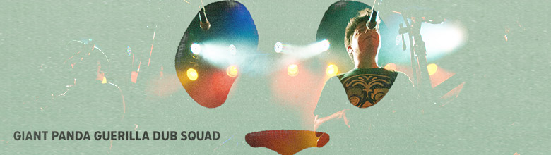 Giant Panda upcoming release and new single “Steady”