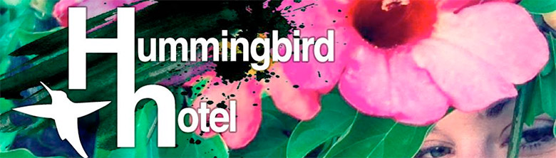 Hummingbird Hotel’s debut single has us hooked
