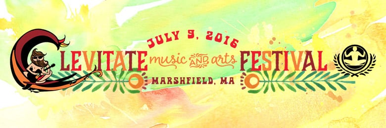 The Levitate Music and Arts Festival 2016