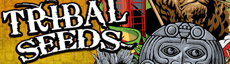 Tribal Seeds 2016 Winter Reggae Land Tour