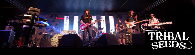 An interview with Tony-Ray from Tribal Seeds