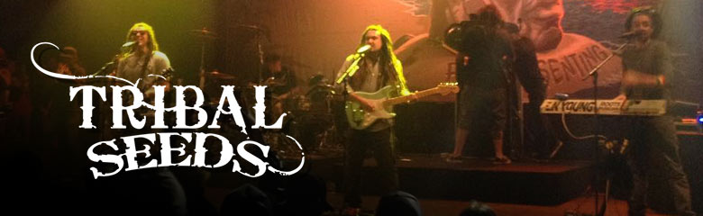 Tribal Seeds at home with Stranger