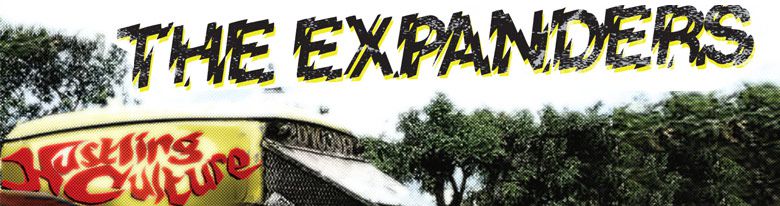 The Expanders “Hustling Culture”