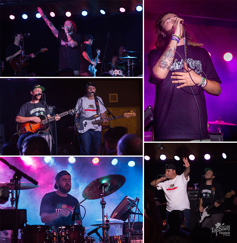 The Expanders with Iya Terra Top Shelf Reggae